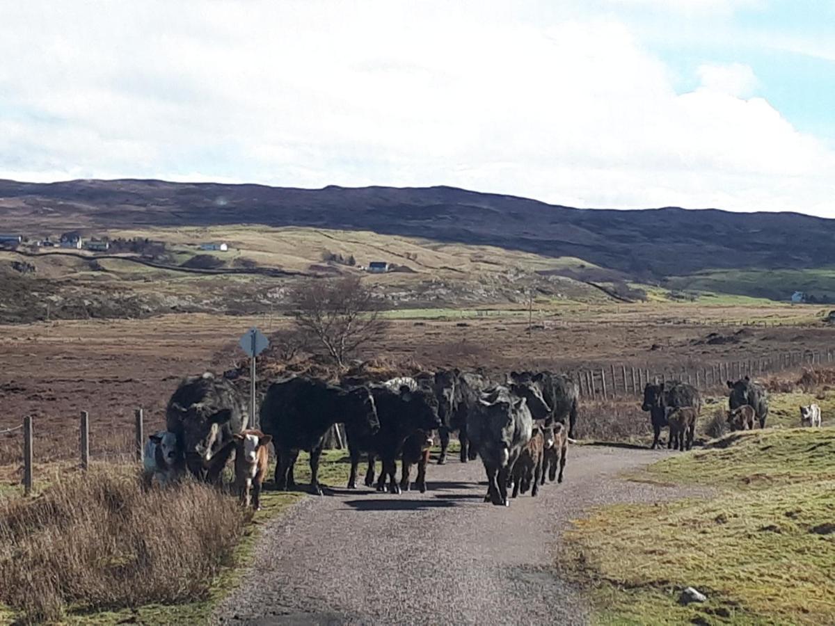 Tirindrish House B&B Spean Bridge Bagian luar foto
